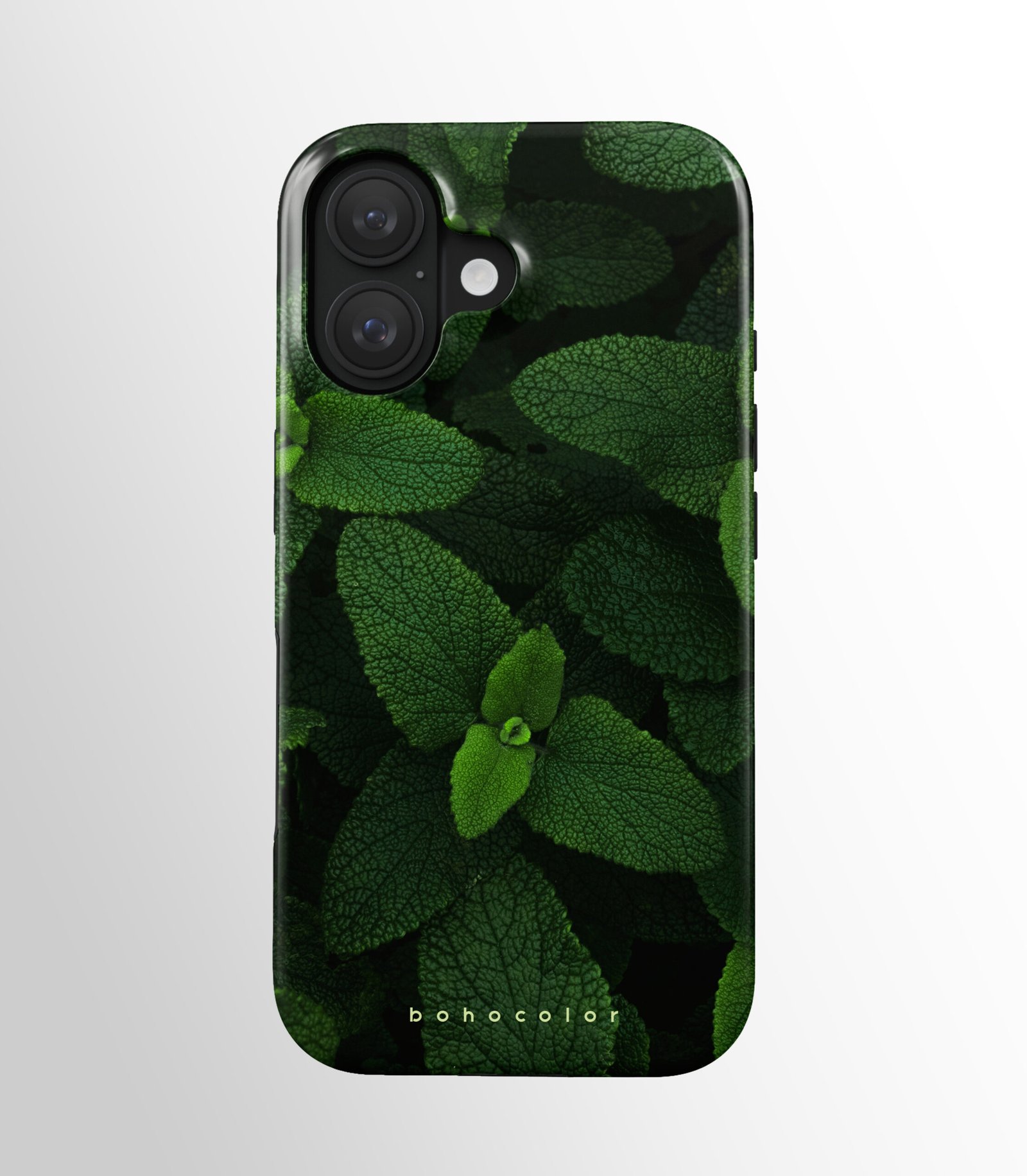 Hidden Bloom – Bild 2