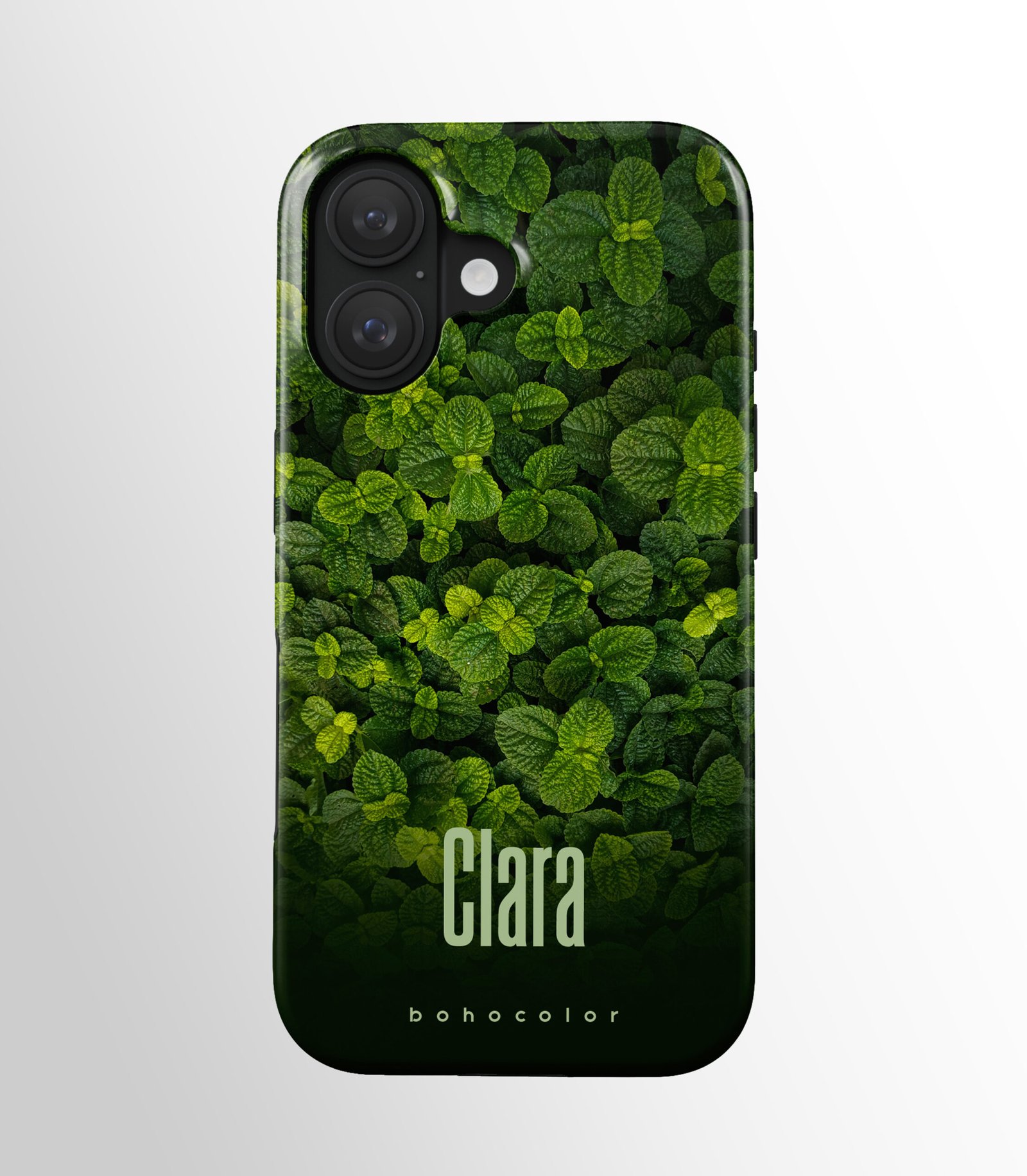 Mint Whisper – Bild 3
