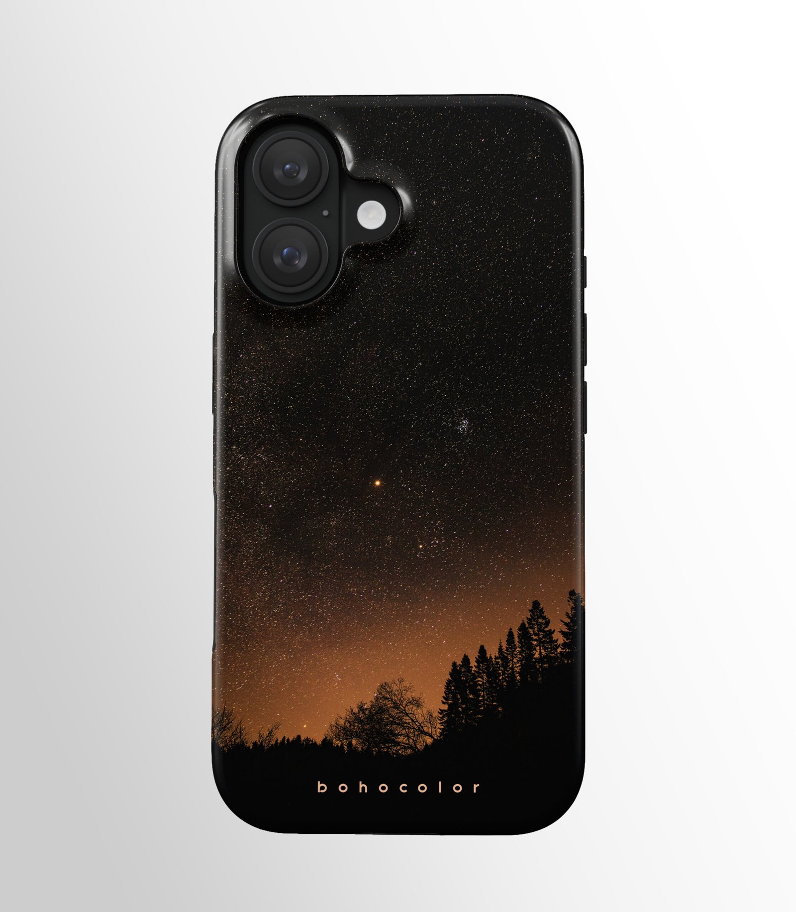 Starry Woods – Bild 2