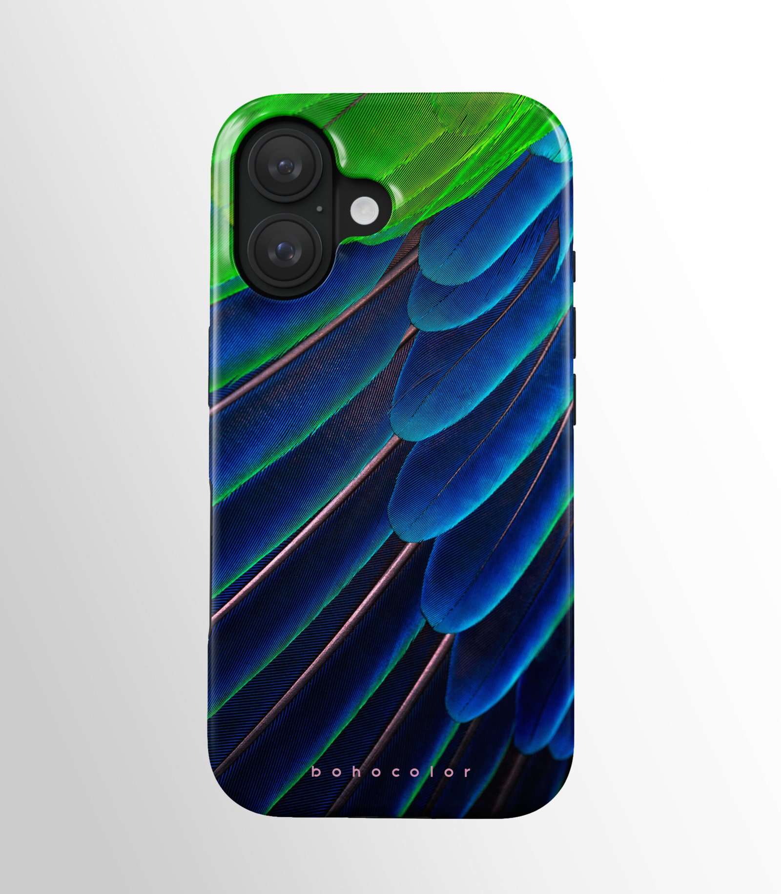 Azure Wings – Bild 2