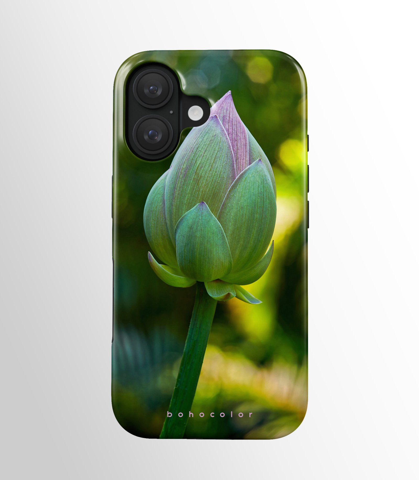 Lotus Bud – Bild 2