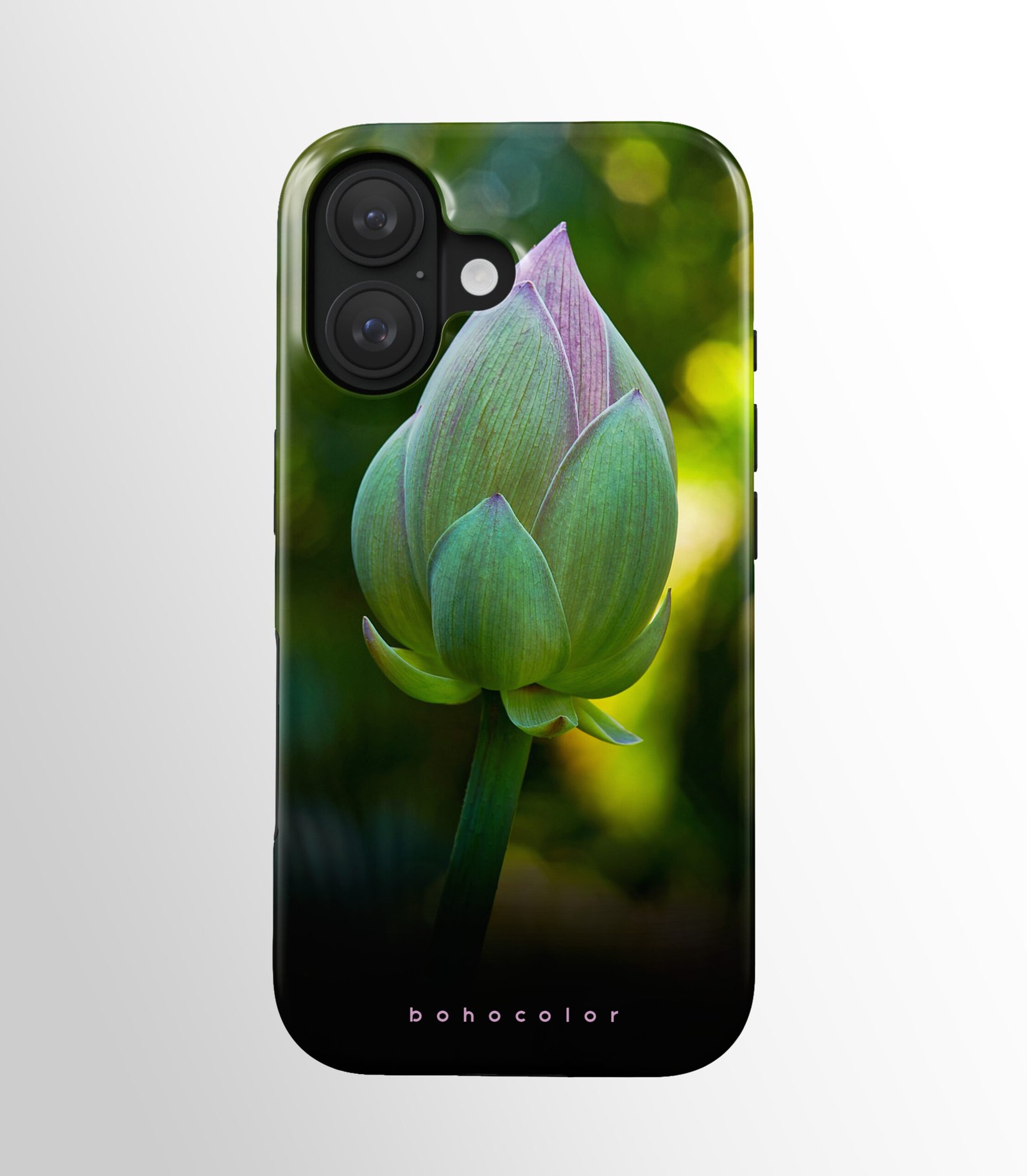 Lotusknospe