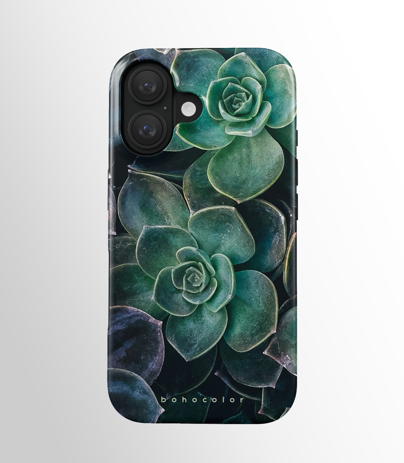 Succulent Star – Bild 2