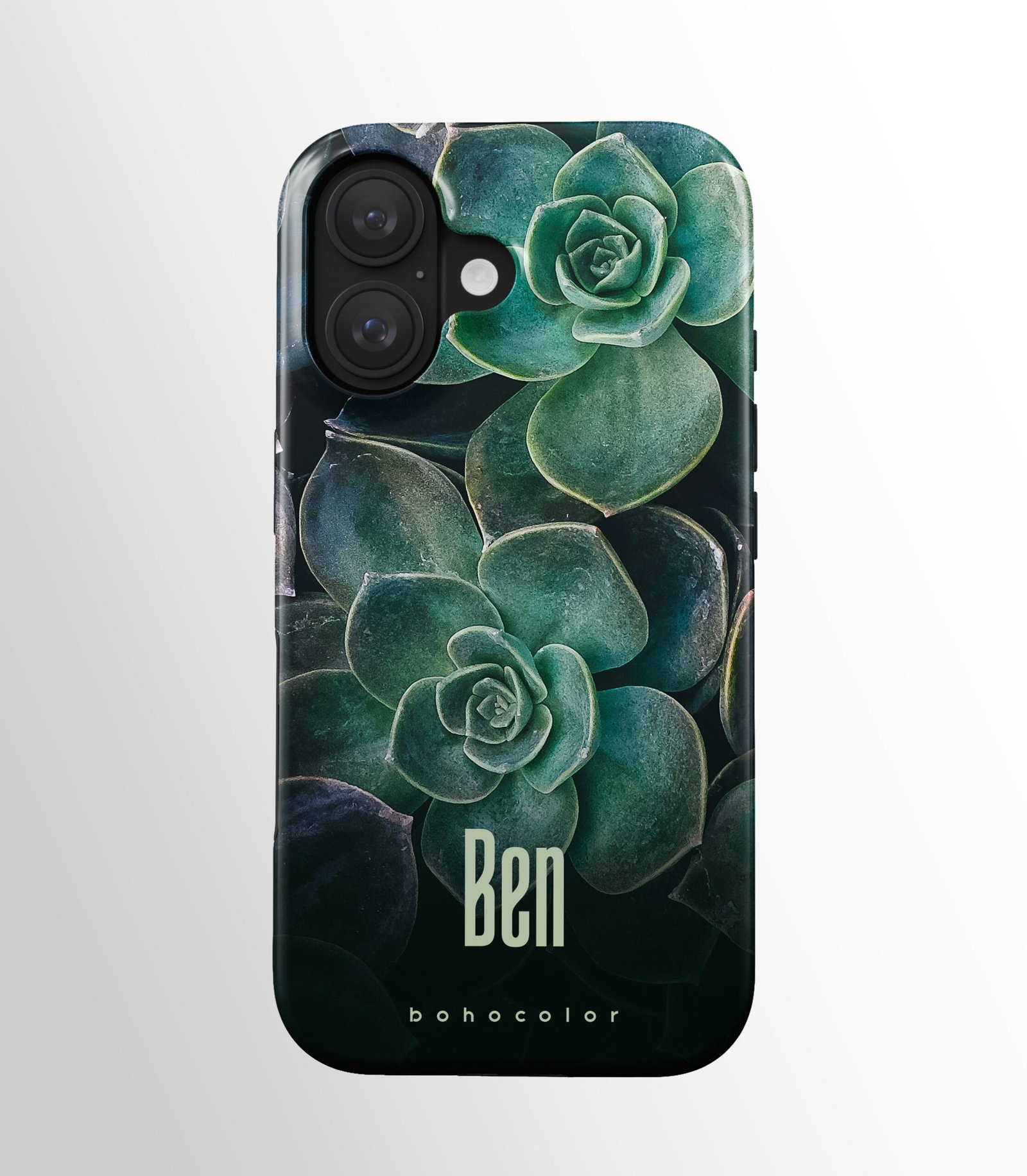 Succulent Star – Bild 3