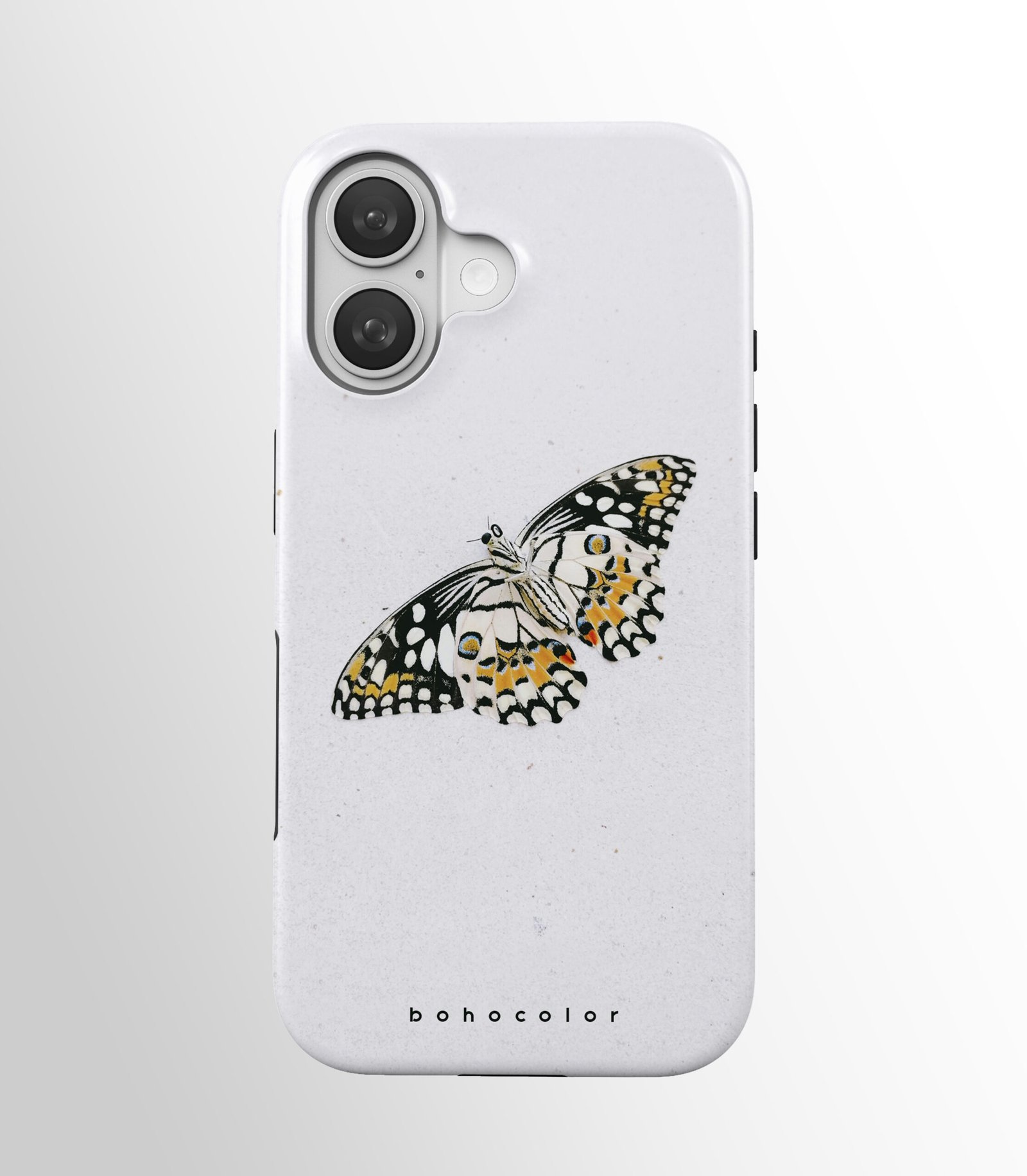 Speckled Wings – Bild 2