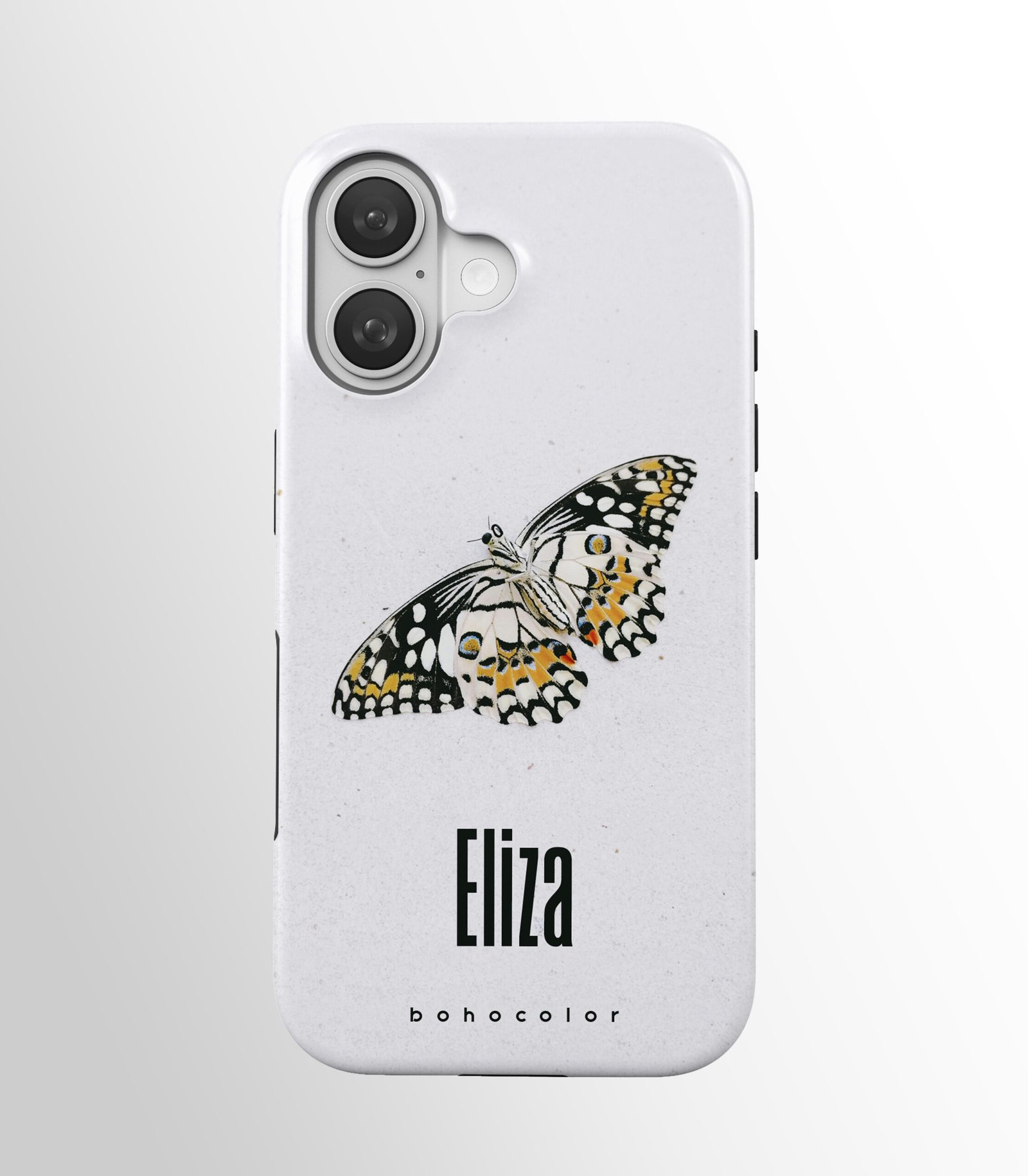 Speckled Wings – Bild 3